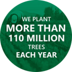 We plant more than 110 million trees each year
