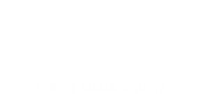 Forest Management Icon